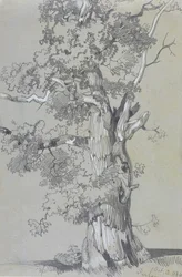 Parham, 13. oktober 1834 (grafit med hvid gouache på brunt vævet papir)